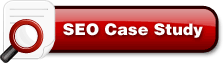 Search Engine Optimization Success Story